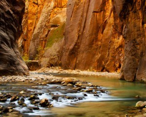 zion-national-park