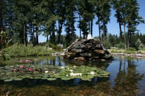Water feature at Glacier Mountain Lodge