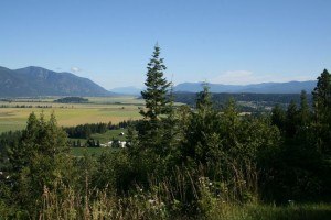 View from Paradise Valley Inn