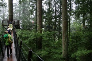 IMG_0479