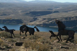 Vantage Bridge Horse Display