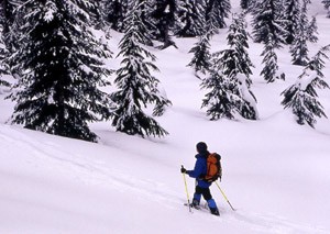 Snowshoer-in-leavenworth