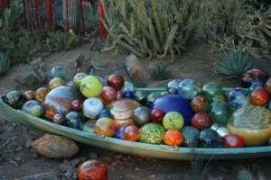 Chihuly Exhibit at Desert Botanical Garden