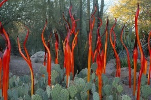 Chihuly glass at Desert Botanical Garden
