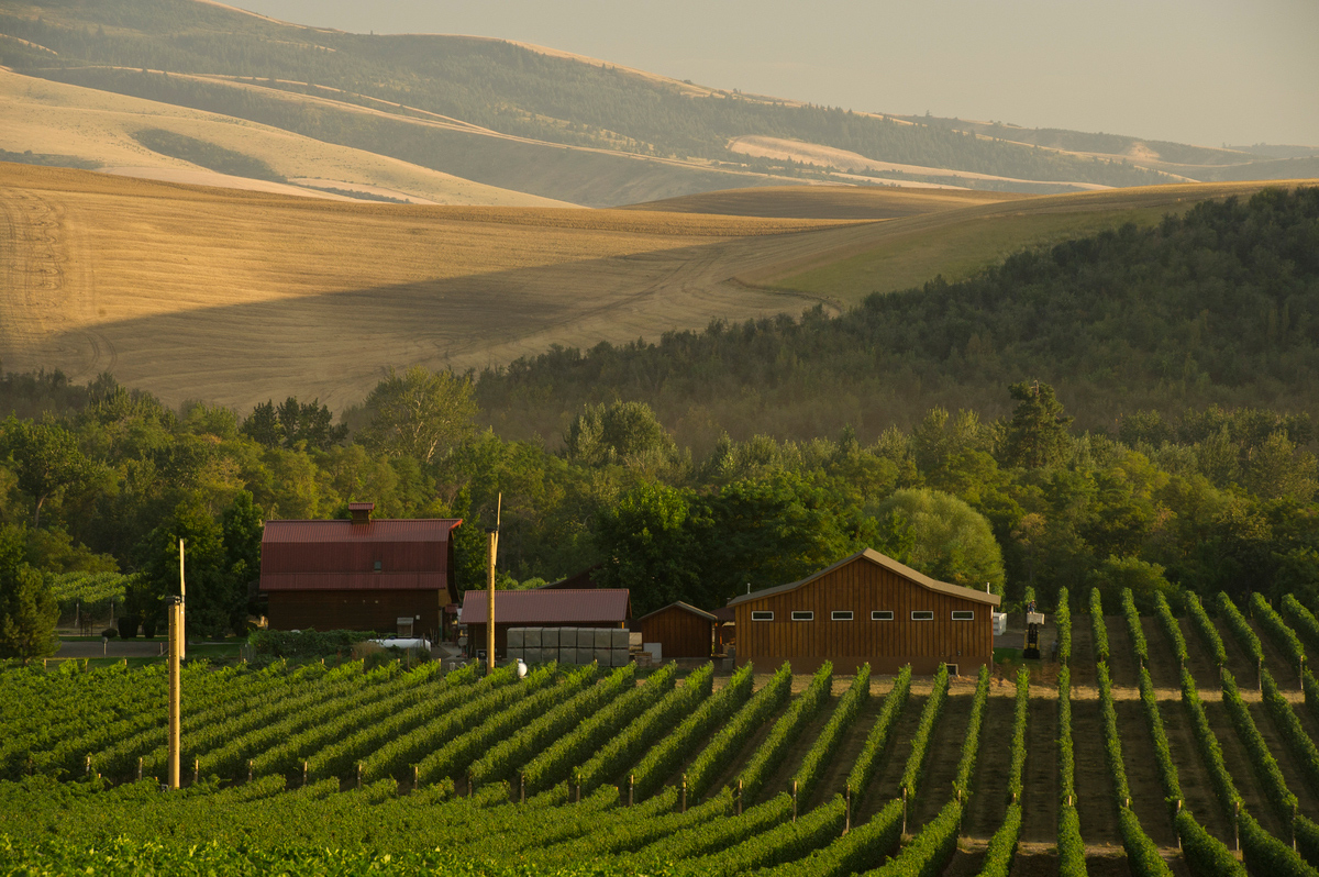 Random facts about Walla Walla  Washington Mike s Road Trip